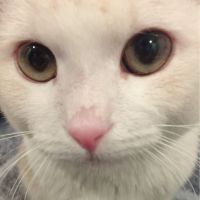 ろいちゃん 会員画像