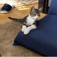 美 音 会員画像