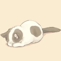 会員画像