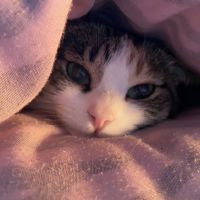 ゆりまい 会員画像