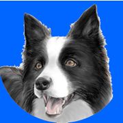 lassie（ラッシー）さん