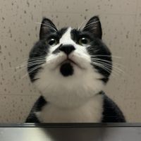 あずき、むぎ 会員画像