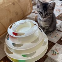 ゆかずきん 会員画像
