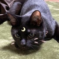 mai5004634 会員画像