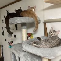 nyao.nao 会員画像