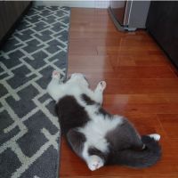 RikA1121 会員画像