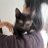 タンタンとらおさん