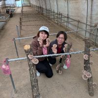 シルビにゃ 会員画像