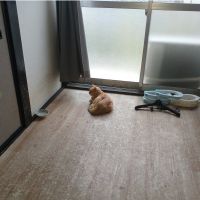 エルベの蛍火さん