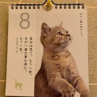いぬりんさん