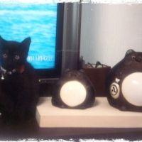 むぎむ 会員画像