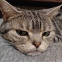kattsuさん