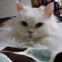 ともともみ 会員画像