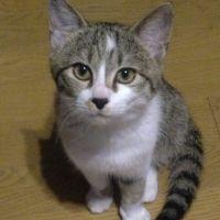みかんみかん 会員画像