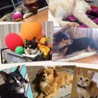 minaたん 会員画像