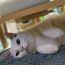 ユーザ画像
