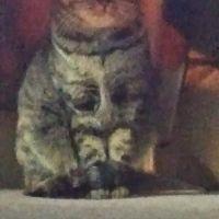 萩の子おかぴ 会員画像