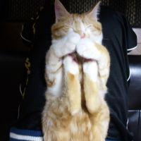 会員画像