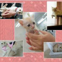 ruru chan 会員画像