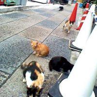 きー子 会員画像