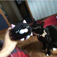 cocochoco703 会員画像