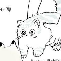 かーる 会員画像