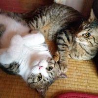 マルレオ 会員画像