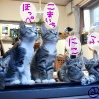 会員画像