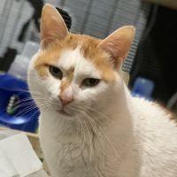 ぴーよ 会員画像