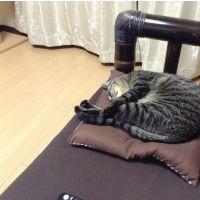 会員画像