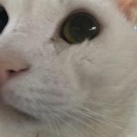 Nagi3 会員画像