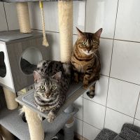 マンチャン 会員画像