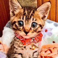 モナタロウさん