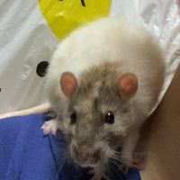 会員画像