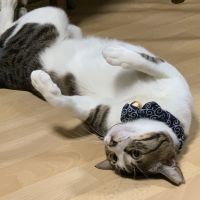 会員画像