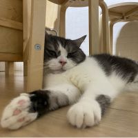 ゆうとけい 会員画像