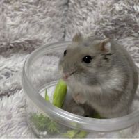 会員画像