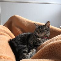 会員画像