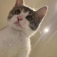 ペン1122 会員画像