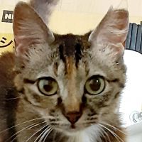 とも05 会員画像