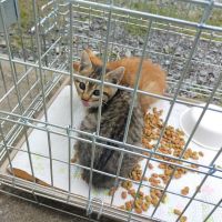 けのうえ 会員画像