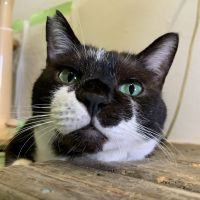 くるみの森 会員画像