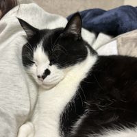 オカダ。。 会員画像