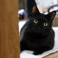 ゆなン 会員画像