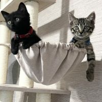 やまか 会員画像