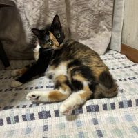 まめナッツ 会員画像