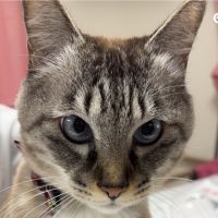アッコ^_^さん