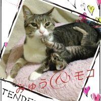 myuたん 会員画像