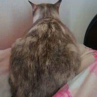 豆ねこ 会員画像