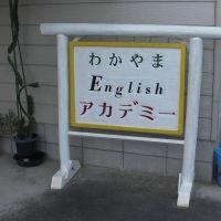 つたんかーめん 会員画像